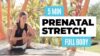 5 MINUTE DAILY PREGNANCY MORNING STRETCH | Prenatal Yoga Full Body Stretch