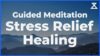 Meditation for Stress Relief and Healing (30 Min, No Music, Voice Only)