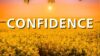 Positive Morning Affirmations – Confidence Affirmations