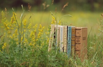 Top 10 Leading Companies Transforming the Tutoring Services Industry