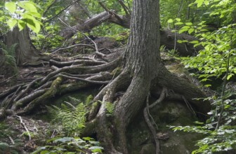 Building Stronger Minds: The Power of Resilience Training