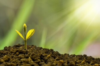 Leading the Pack: The Top 10 Investment Advisory Companies