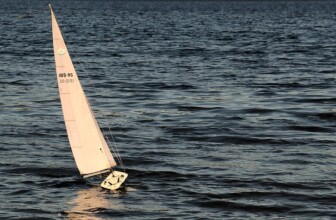 Empowering Success: Innovative Strategies for Motivating Remote Workers