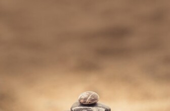 Transform Your Thinking: The Power of a Mindset Shift for Lasting Change