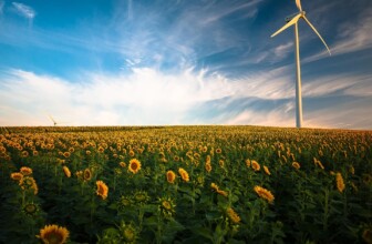 Maximizing Renewable Energy Efficiency: The Transformative Role of AI in Optimization