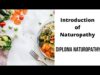 Introduction to naturopathy