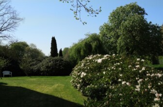 Rejuvenate Your Soul: The Ultimate Guide to Nature Retreats