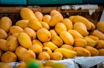 Tailored Nourishment: Unlocking the Future of Personalized Nutrition