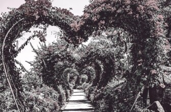 Unlocking Happiness: The Transformative Power of Gratitude Journaling