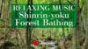 Shinrin-yoku – Forest Bathing. Relaxing Music, Video of Nature: ambient music for concentration.