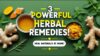 🌿 Herbal Remedies for Common Ailments | The Ultimate Natural Healing Guide
