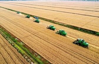 Top 10 Leaders in Agricultural Services: Innovating the Future of Farming