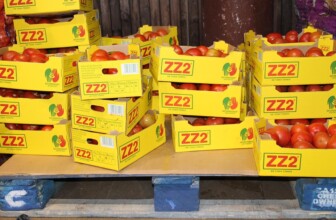 Top 10 Wholesale Distribution Leaders Shaping the Industry