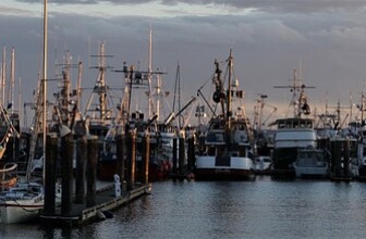 Revolutionizing Fleet Management: The Transformative Benefits of AI Integration