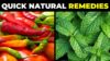 Natural Remedies for Common Health Ailments