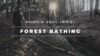 Forest Bathing (ShinRin-Yoku) For Your Modern Lifestyle