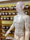 Healing Through Needles: Ranking the Top Acupuncture Clinics