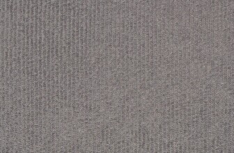 Top 10 Carpet Cleaning Companies You Should Know About