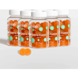 Lions Mane 6 Month Bundle | Size: 1 Package