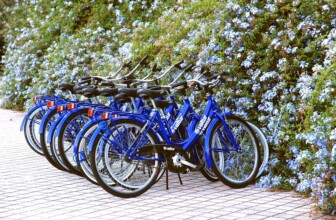Pedal Power: Top 10 Bike Rental Companies Revolutionizing Urban Mobility