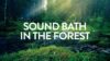 Sound Bath in the Forest ✦ A=432Hz ✦ A Serene Forest Bath Accompanied by Gentle Ambient Tones