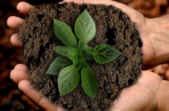 Enhancing Sustainability Tracking: Unleashing the Power of AI for a Greener Future