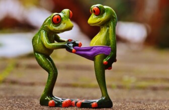 Fostering a Culture of Curiosity: Unlocking Innovation and Engagement at Work