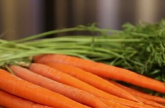 Plant-based diet benefits