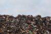 Top 10 Leaders in Waste Management Services: A Comprehensive Overview