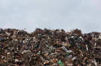 Top 10 Leaders in Waste Management Services: A Comprehensive Overview