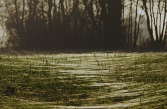 AWS (Amazon Web Services) – Comprehensive cloud hosting services.