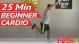 25 Min Beginner Cardio Workout at Home – Low Impact Cardio Exercises – Easy Aerobic Workouts