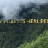 Soothing Relaxation: Relaxing Piano Music & Water Sounds for Sleep, Meditation, Spa & Yoga