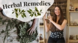 🌿 Herbal Remedies for Common Ailments