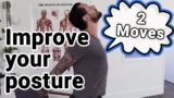 Best Quick Posture Correction Exercises