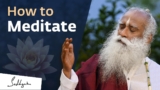‘How to Meditate’ for Beginners | Sadhguru