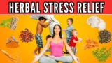 Unveiling the Power of ADAPTOGENS for STRESS RELIEF