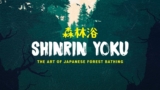 Shinrin Yoku: The Art of Forest Bathing | Short Film