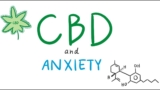 CBD and Anxiety