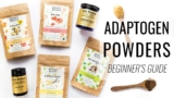 BEGINNER’S GUIDE TO ADAPTOGENS | reduce stress, boost immunity & more