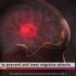 The #1 Most Important Nutrient for Hypothyroidism