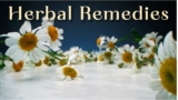 Herbal Remedies for Common Ailments