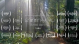 Shinrin-Yoku (forest bathing) trailer
