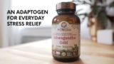 An adaptogen for everyday stress relief