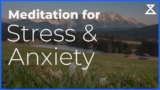 Guided Meditation for Stress and Anxiety Relief (15 Min, Voice Only, No Music)