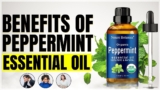 The Life-Changing Benefits of Peppermint Oil