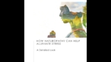How Naturopathy Can Help Alleviate Stress A Detailed Look