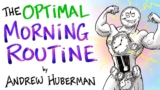 The Optimal Morning Routine – Andrew Huberman