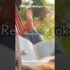 Top 10 Leaders in the Online Tutoring Industry: A Comprehensive Overview