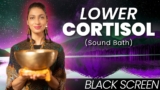 Lower Your Cortisol | Healing Frequencies | Sound Bath Meditation | Nervous System Reset